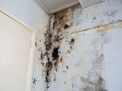 About Woods Canyon Lake Water Damage Restoration - water damage restoration experts in Woods Canyon Lake