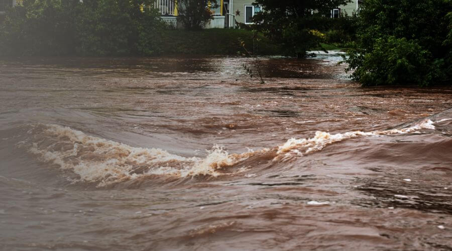 Why choose Woods Canyon Lake Water Damage Restoration for water damage restoration in Woods Canyon Lake